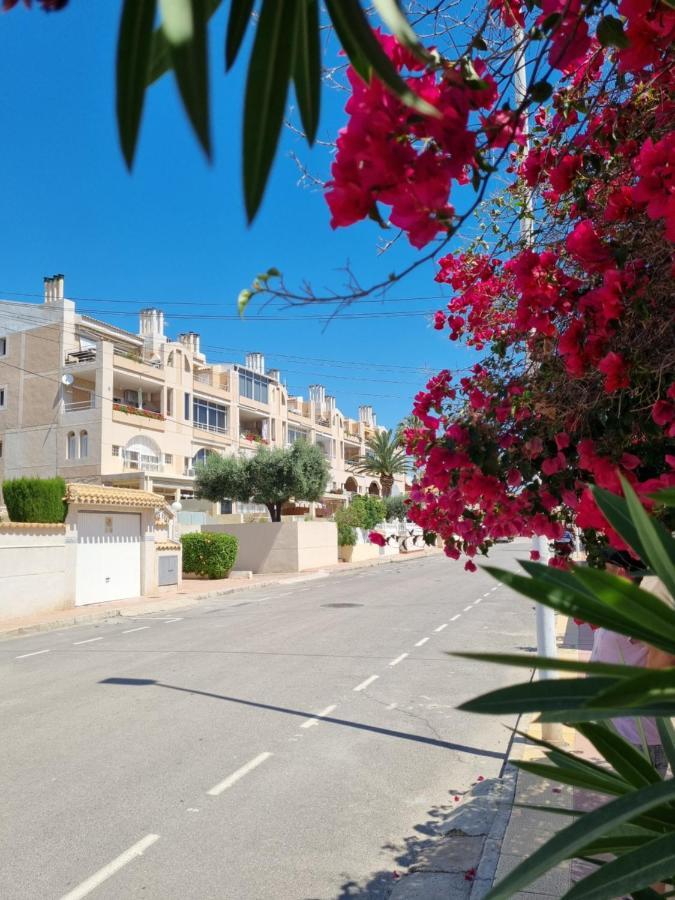 Flamenco Penthouse Sea View & Swimming Pool Apartment Torrevieja Exterior photo